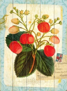 TC-WS-0003-0449-Natural--Wonders-Strawberry-artwork-art-wood-sign-